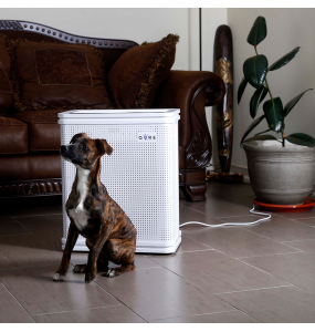 Purificador y Esterilizador de Aire AQ-PRO 620